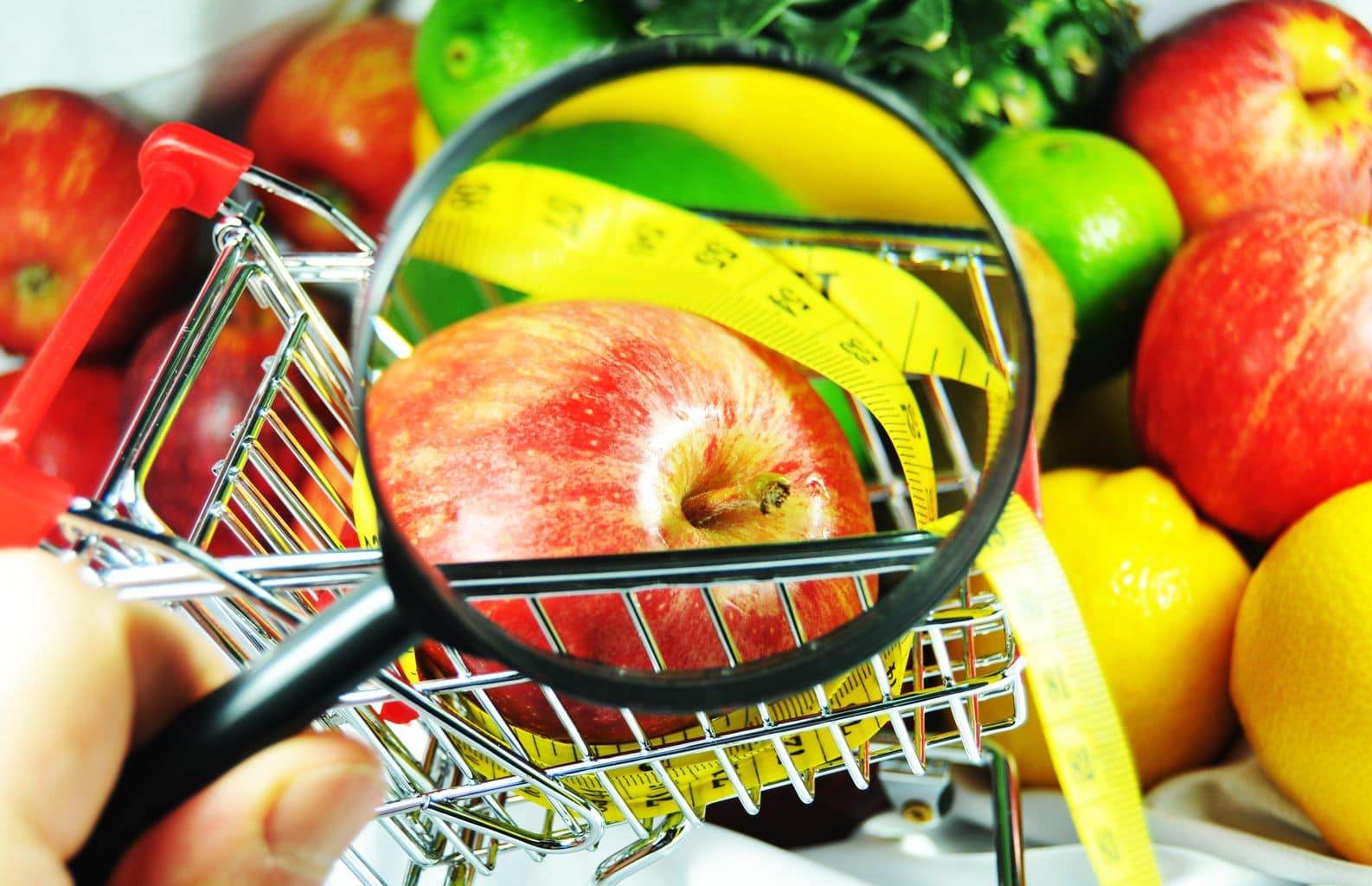 gmo gmo w polsce gmo skutki