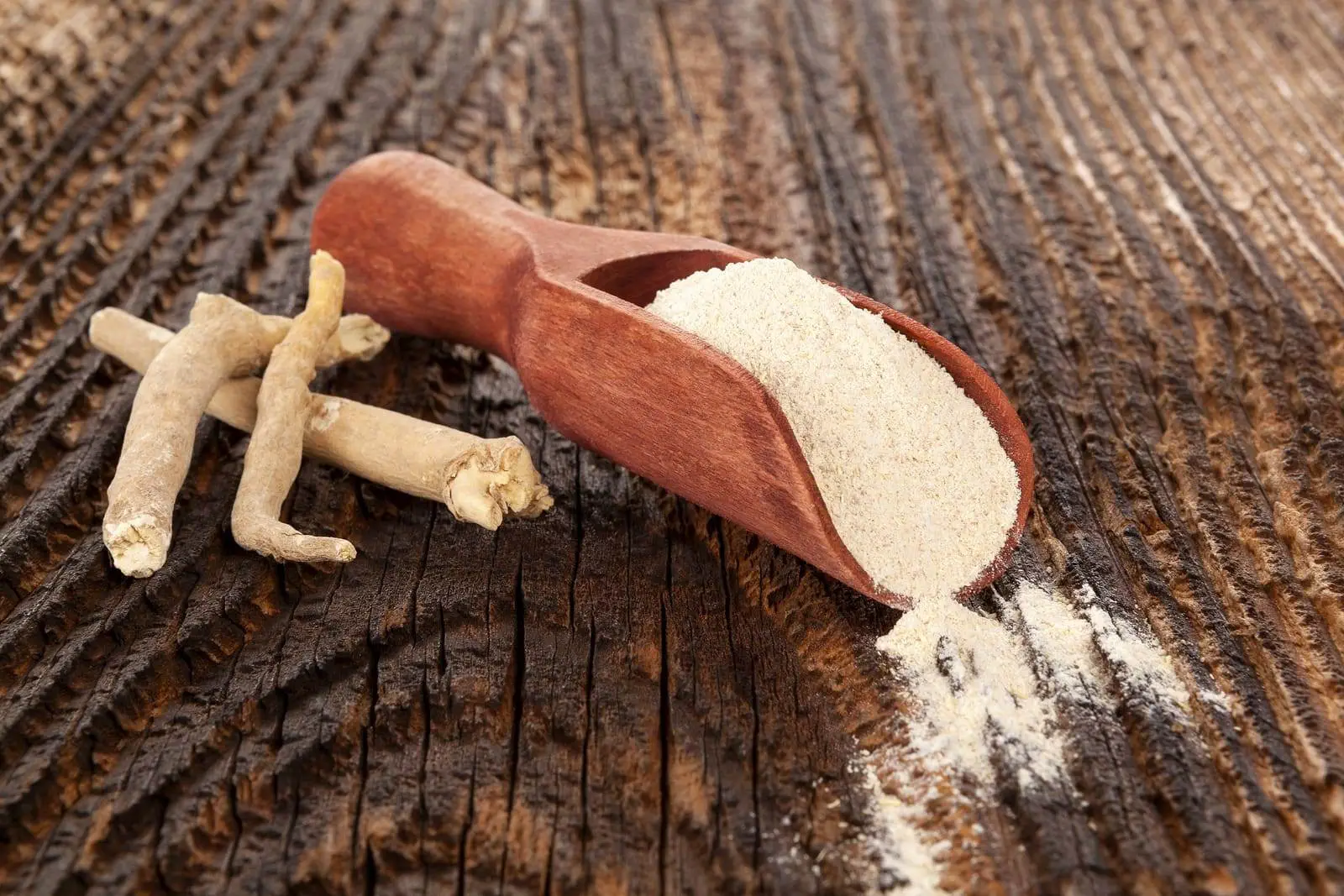 ashwagandha właściwości zastosowanie gdzie kupić cena jak stosować
