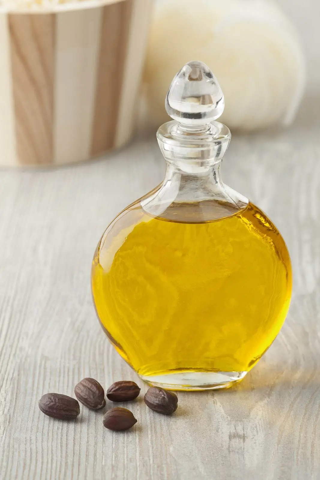 olej jojoba właściwości zastosowanie cena
