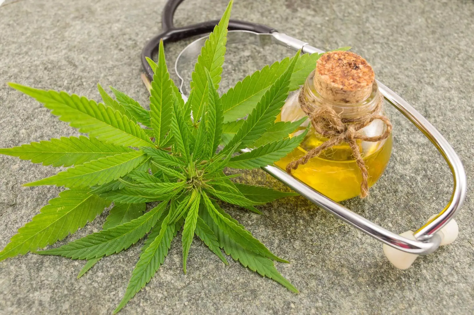 Medyczna marihuana w Polsce, co leczy,