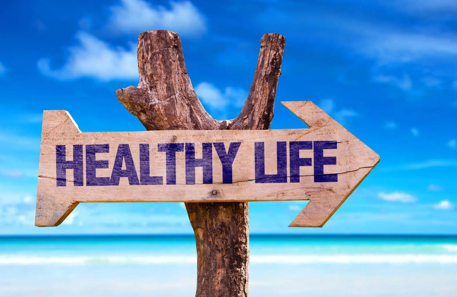 Healthy lifestyle show