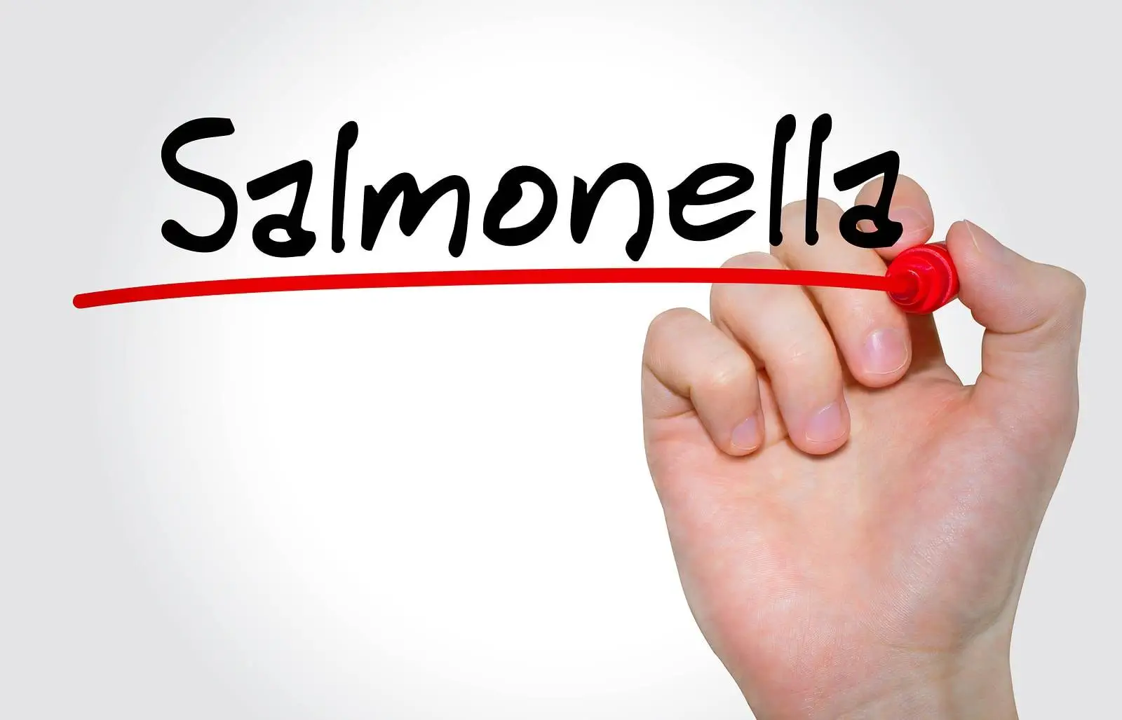 salmonella leczenie objawy
