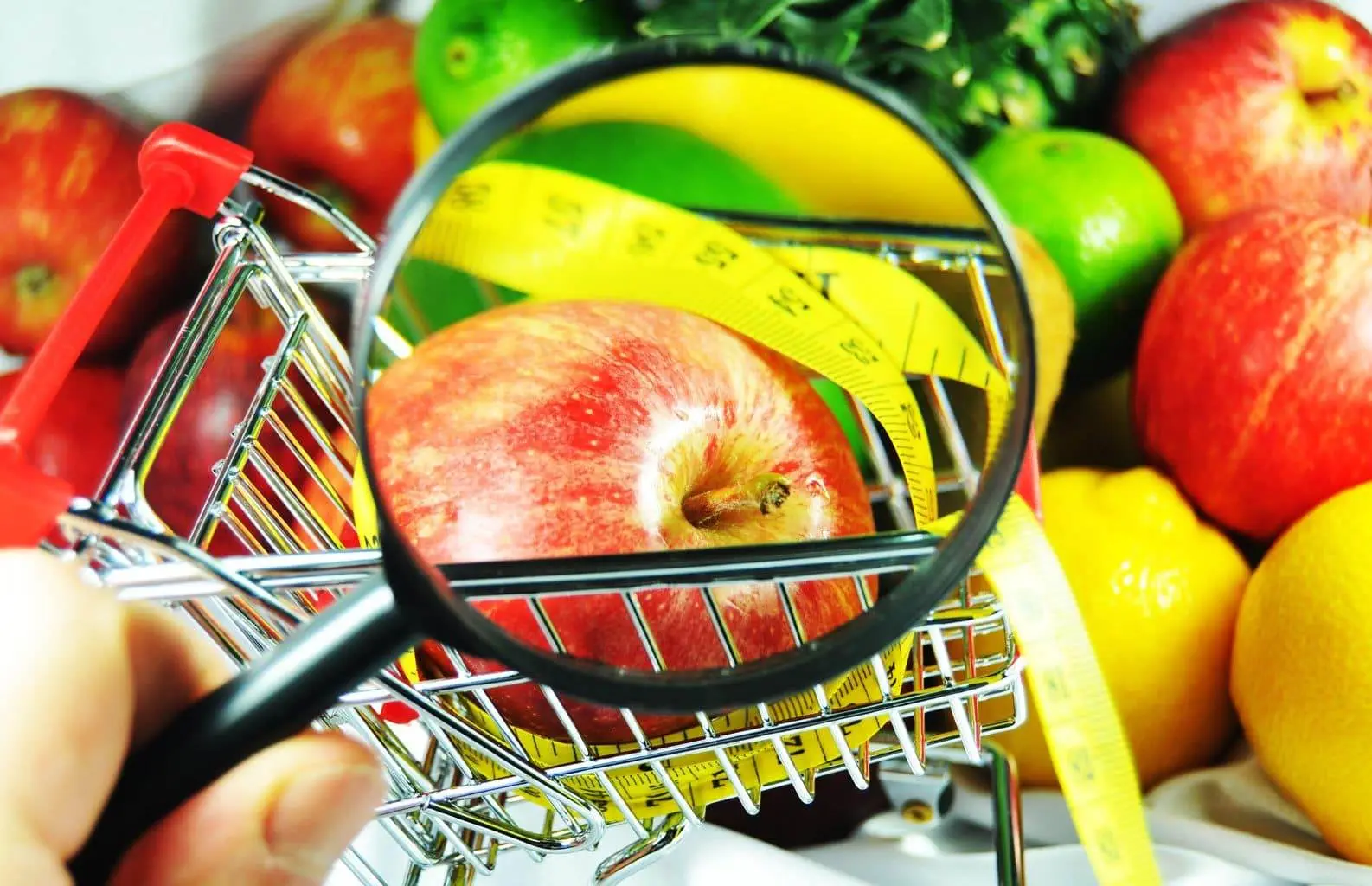 gmo gmo w polsce gmo skutki