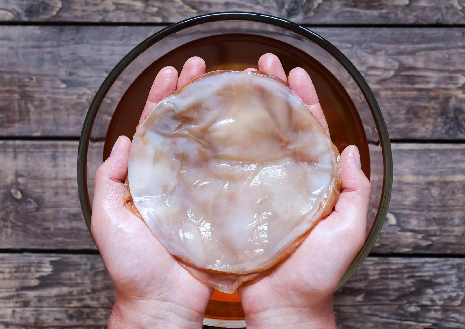 kombucha gdzie kupić cena opinie