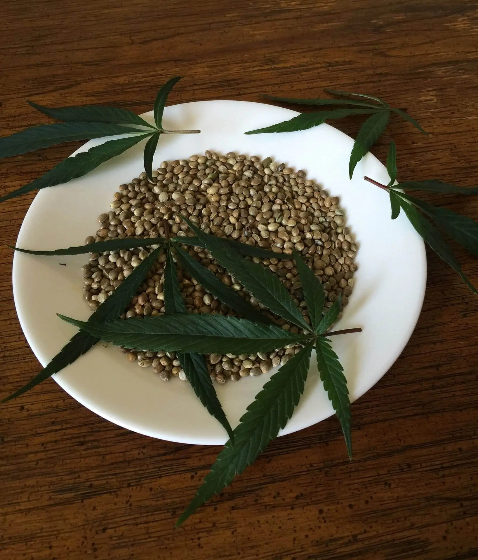 kannabidiol działanie cena gdzie kupić czy kannabidiol jest legalny w polsce?